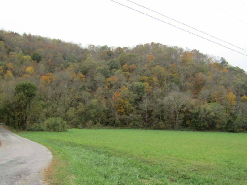 55.83-ac Dry Creek Road Moss, TN 38575 - Photo 28 of 36 IMG_0166