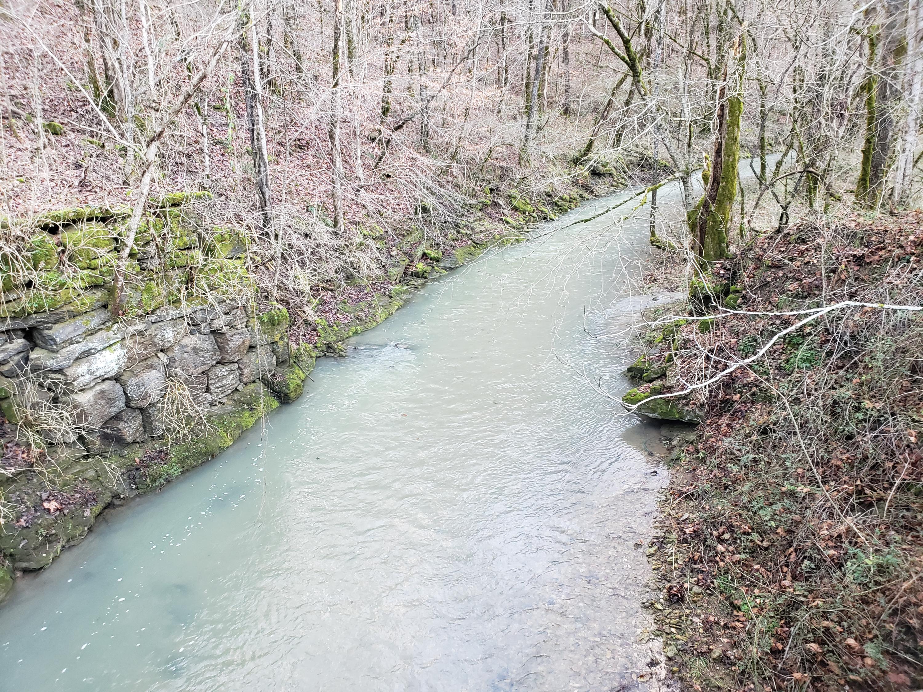 55.83-ac Dry Creek Road Moss, TN 38575 - Photo 4 of 36 20210101_153851