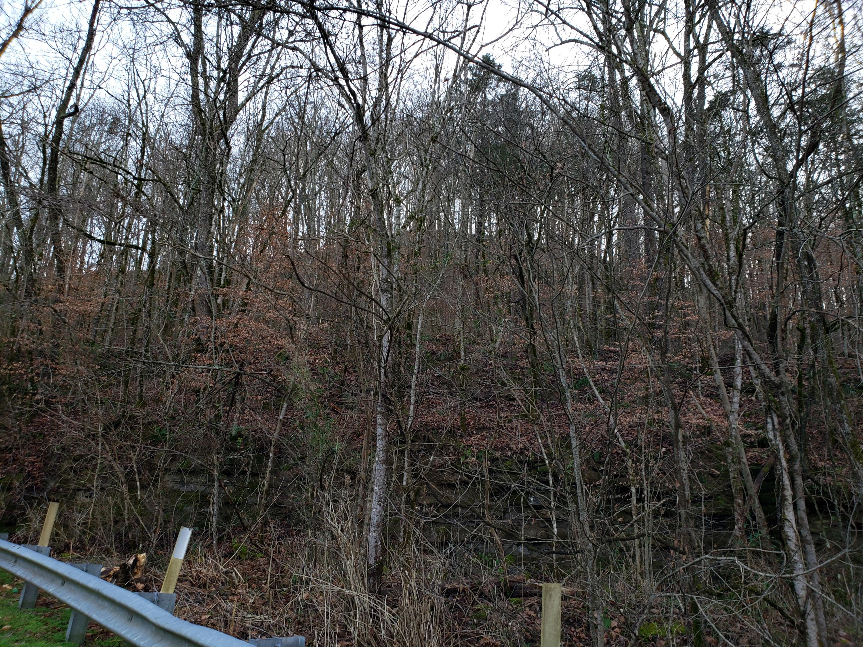 55.83-ac Dry Creek Road Moss, TN 38575 - Photo 33 of 36 20210101_153941