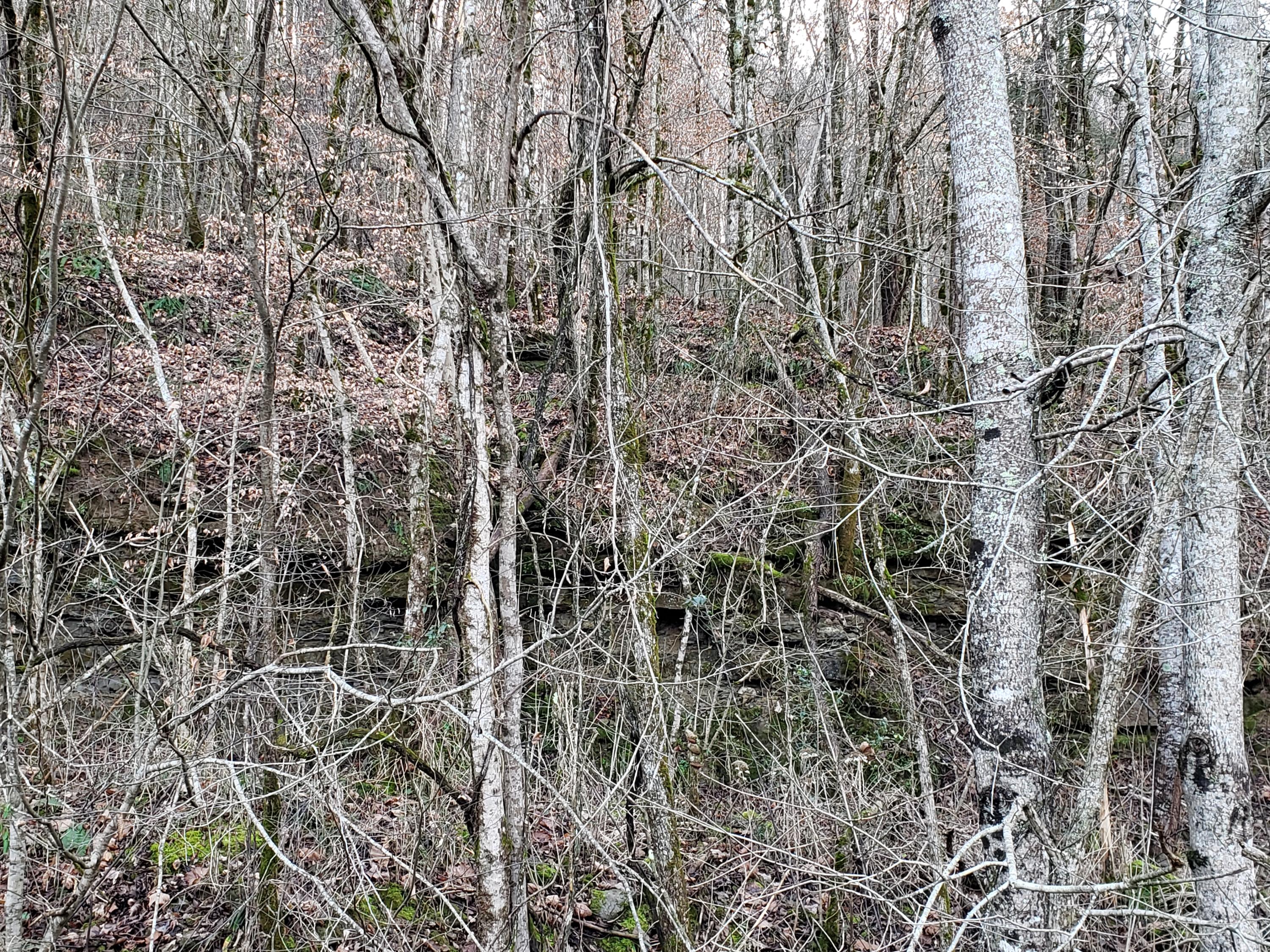 55.83-ac Dry Creek Road Moss, TN 38575 - Photo 35 of 36 20210101_154041