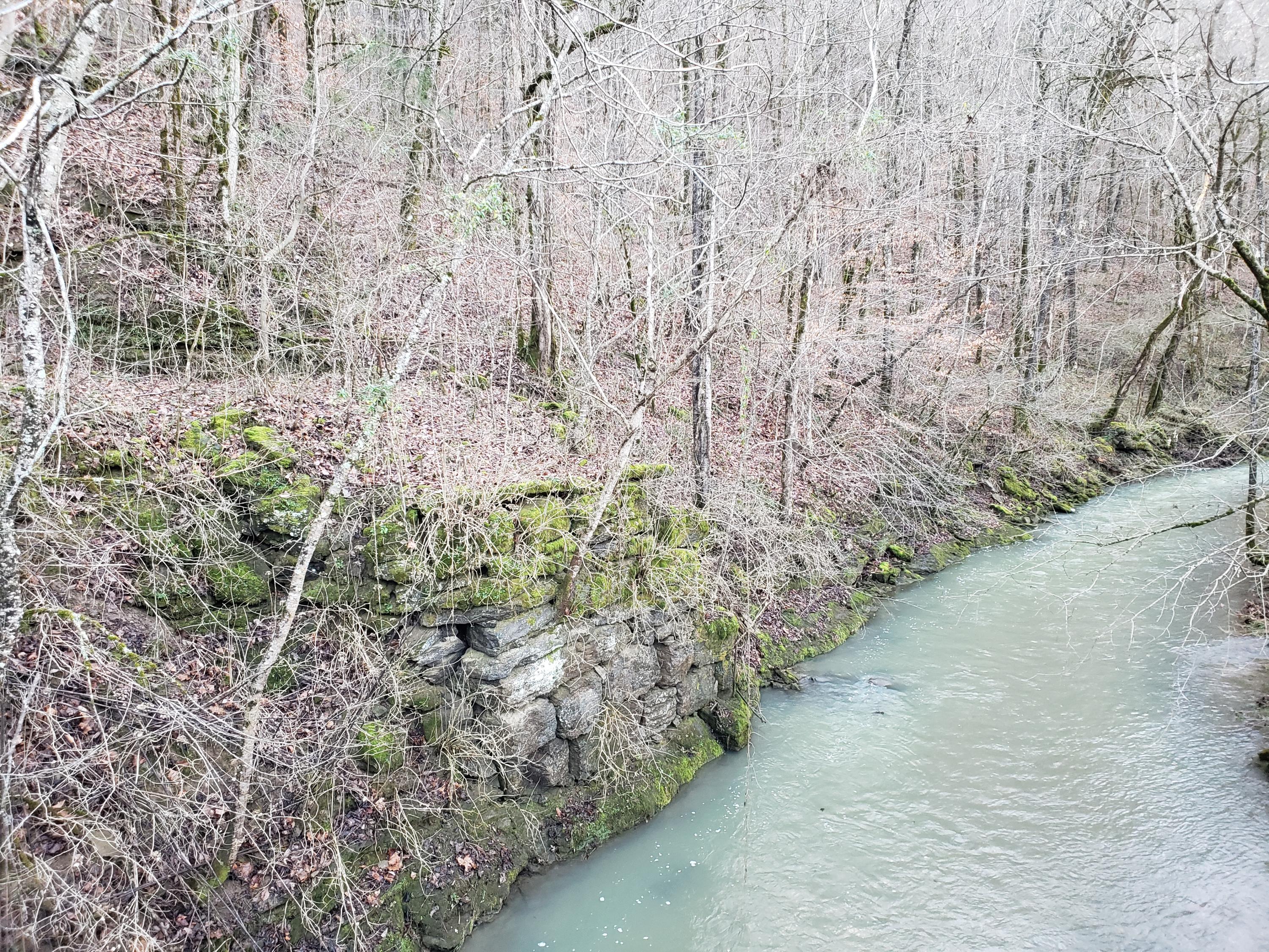 55.83-ac Dry Creek Road Moss, TN 38575 - Photo 5 of 36 20210101_153907