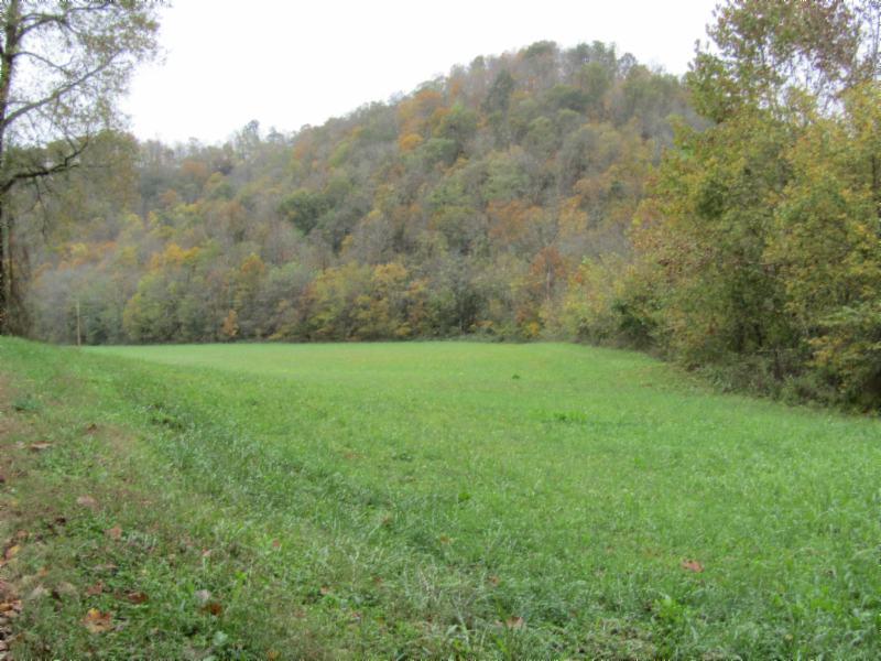 55.83-ac Dry Creek Road Moss, TN 38575 - Photo 10 of 36 IMG_0125