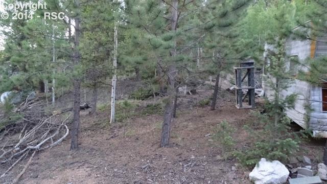 1379 Rangeview Road Divide, CO 80814 - Photo 7 of 10 Gallery Image 7