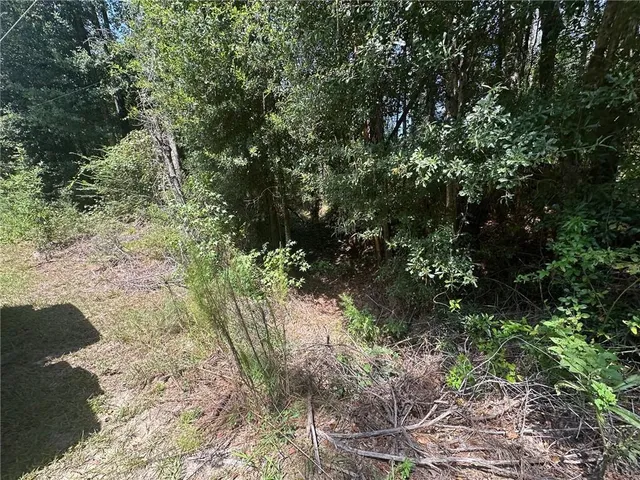 $60,000 | 4 Ragusa Road, Independence, LA 70443