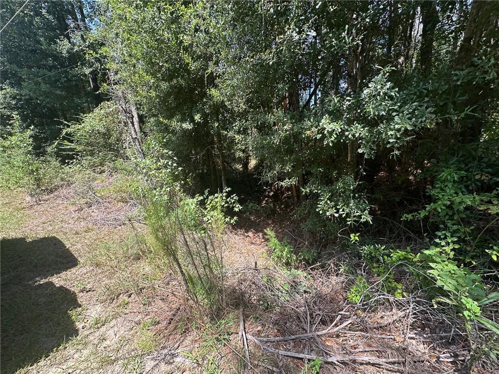 4 Ragusa Road Independence, LA 70443 - Photo 5 of 8