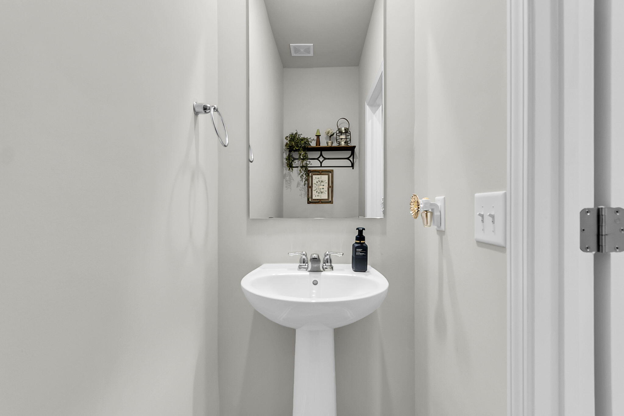 1265 Spotflower Street Summerville, SC 29485 - Photo 8 of 38 11-CREM - 1265 Spotflower-19