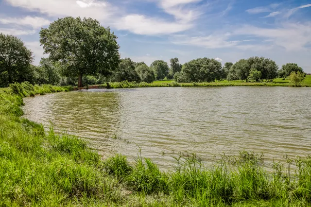 $4,100,000 | 18581 William Penn Road, Washington, TX 77880