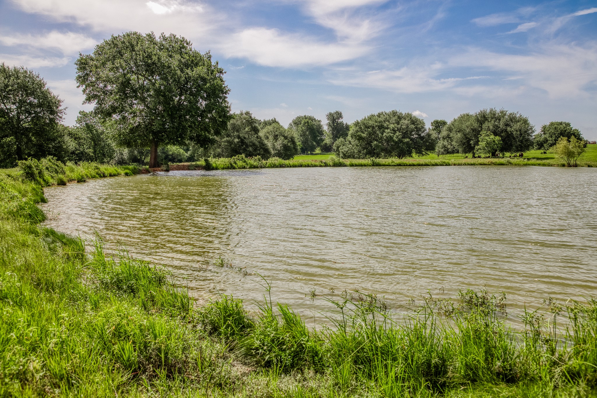 18581 William Penn Road Washington, TX 77880 - Photo 32 of 49 a view of a lake view