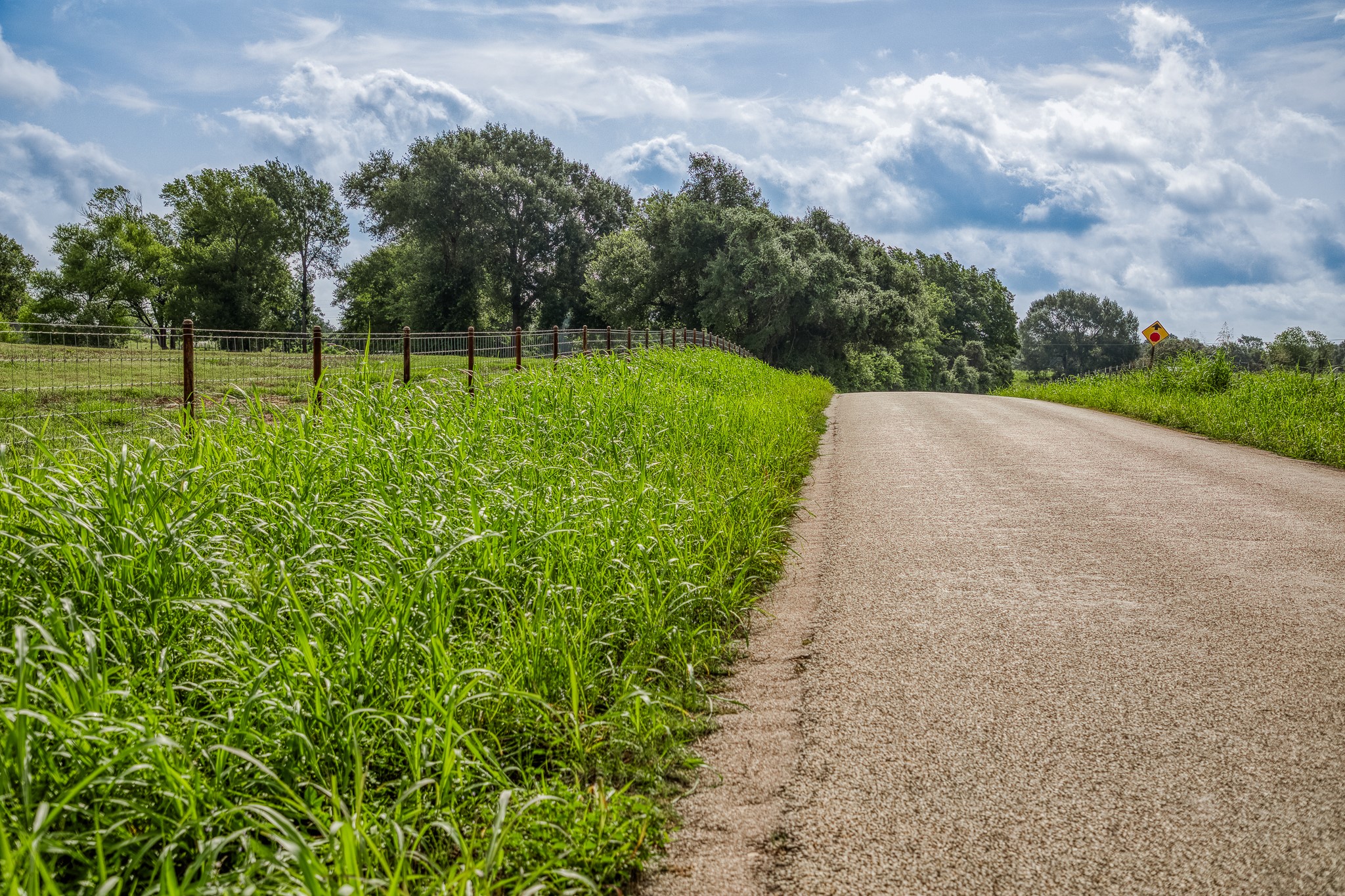 18581 William Penn Road Washington, TX 77880 - Photo 49 of 49 a view of a park with large trees