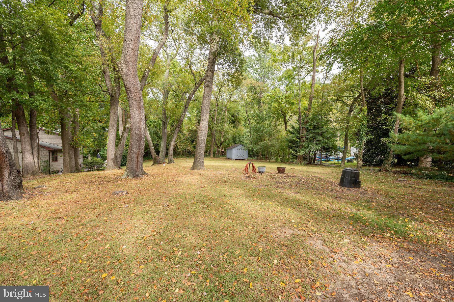 414 Edgewater Road Pasadena, MD 21122 - Photo 12 of 40 Level back yard with mature trees