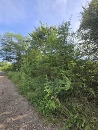 a view of a large yard with lots of green space