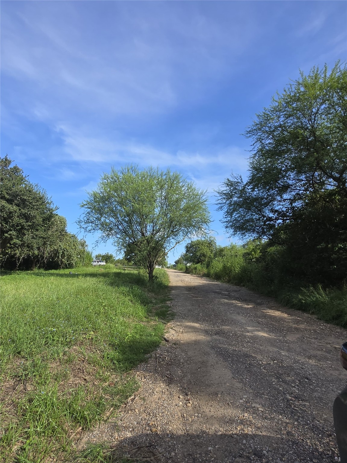 0 Jewett Street Victoria, TX 77905 - Photo 4 of 9 a view of a yard with a tree