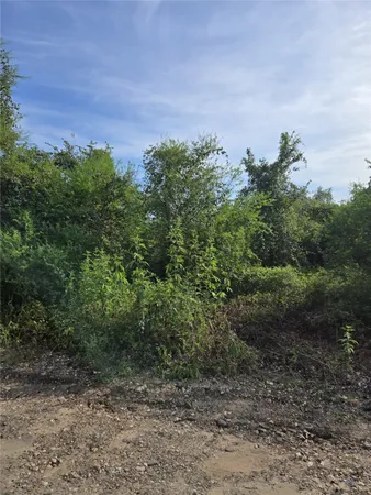 a view of a field