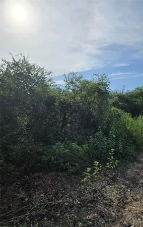 a view of a field of grass and trees