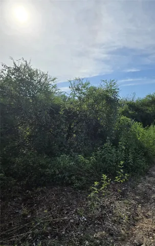 a view of a field of grass and trees