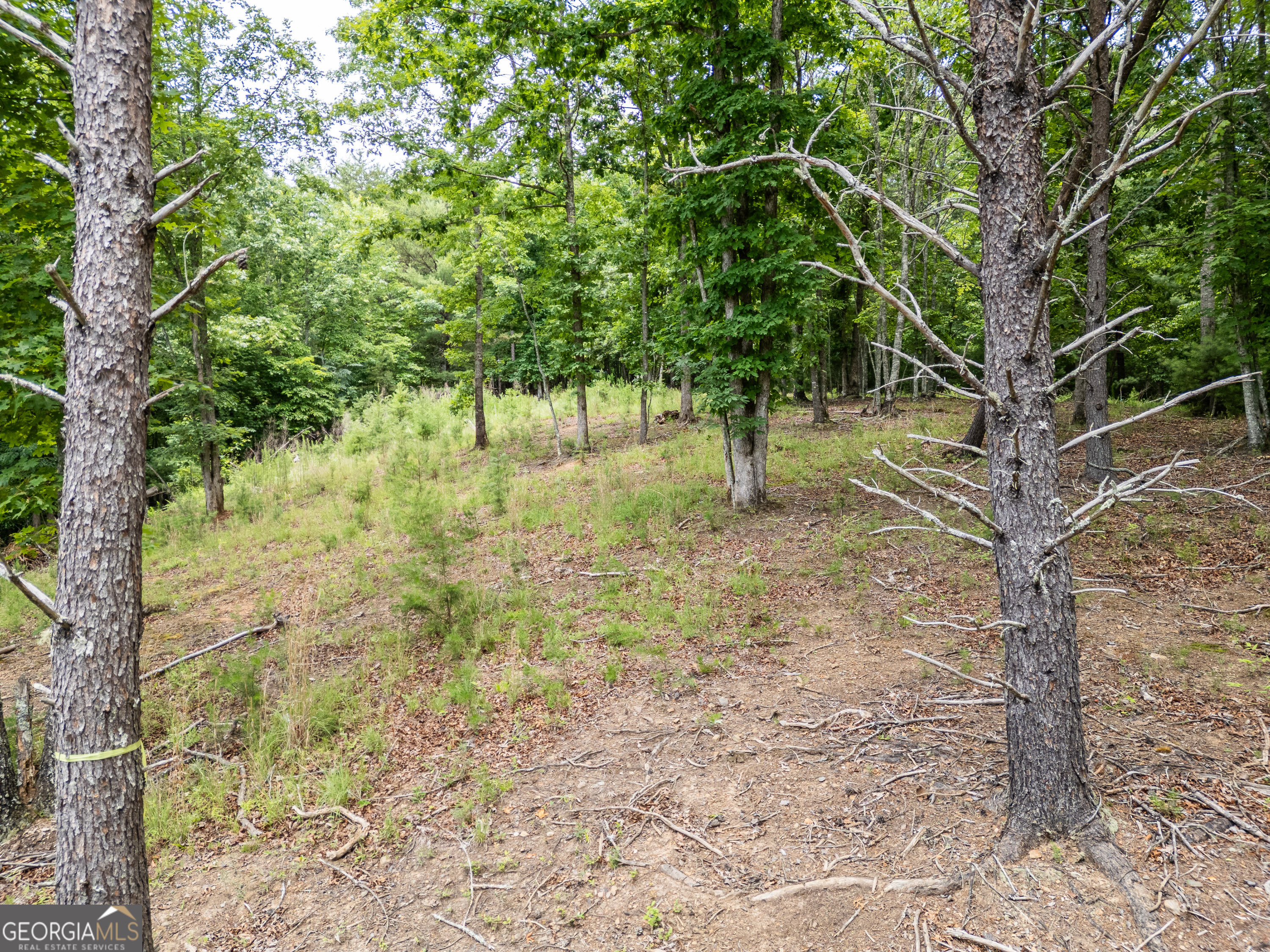1 Stormy Ridge Brasstown, NC 28902 - Photo 10 of 20