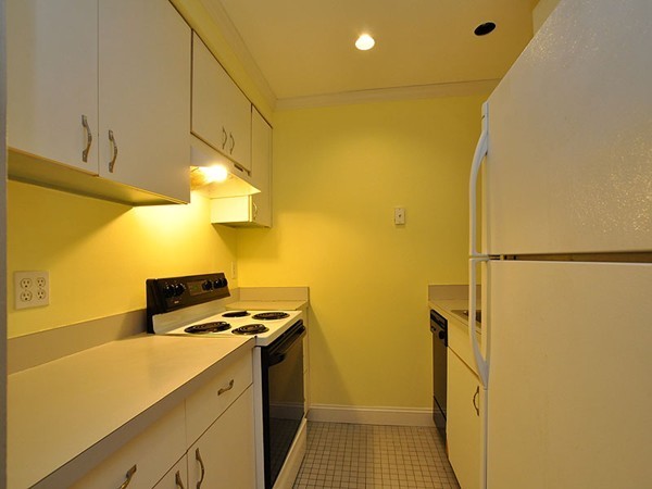 20 East Springfield Street, Unit 1 Boston, MA 02118 - Photo 4 of 13 Gallery Image 4
