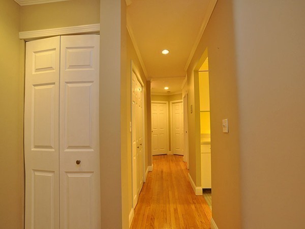 20 East Springfield Street, Unit 1 Boston, MA 02118 - Photo 10 of 13 Gallery Image 10