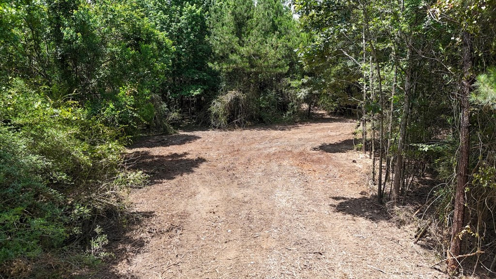 Tbd McClain Road Liberty, MS 39645 - Photo 12 of 14 Photo 12