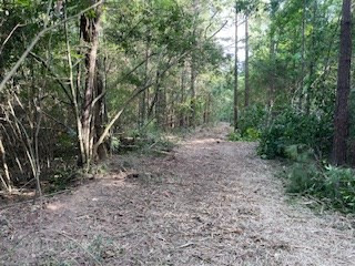 Tbd McClain Road Liberty, MS 39645 - Photo 14 of 14 Photo 14