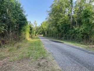 Tbd McClain Road Liberty, MS 39645 - Photo 3 of 14 Photo 3