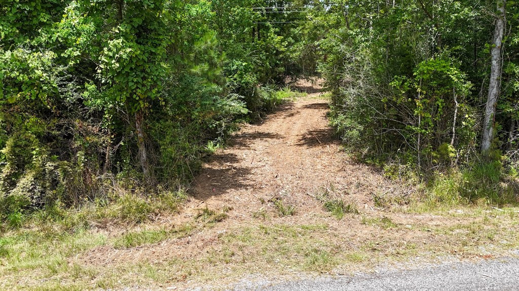 Tbd McClain Road Liberty, MS 39645 - Photo 5 of 14 Photo 5