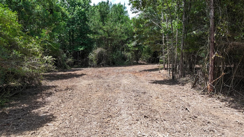Tbd McClain Road Liberty, MS 39645 - Photo 9 of 14 Photo 9