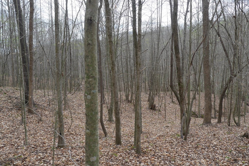 Tbd Valley Spring Road, Unit 1 Jonesville, VA 24263 - Photo 28 of 55 Gallery Image 28