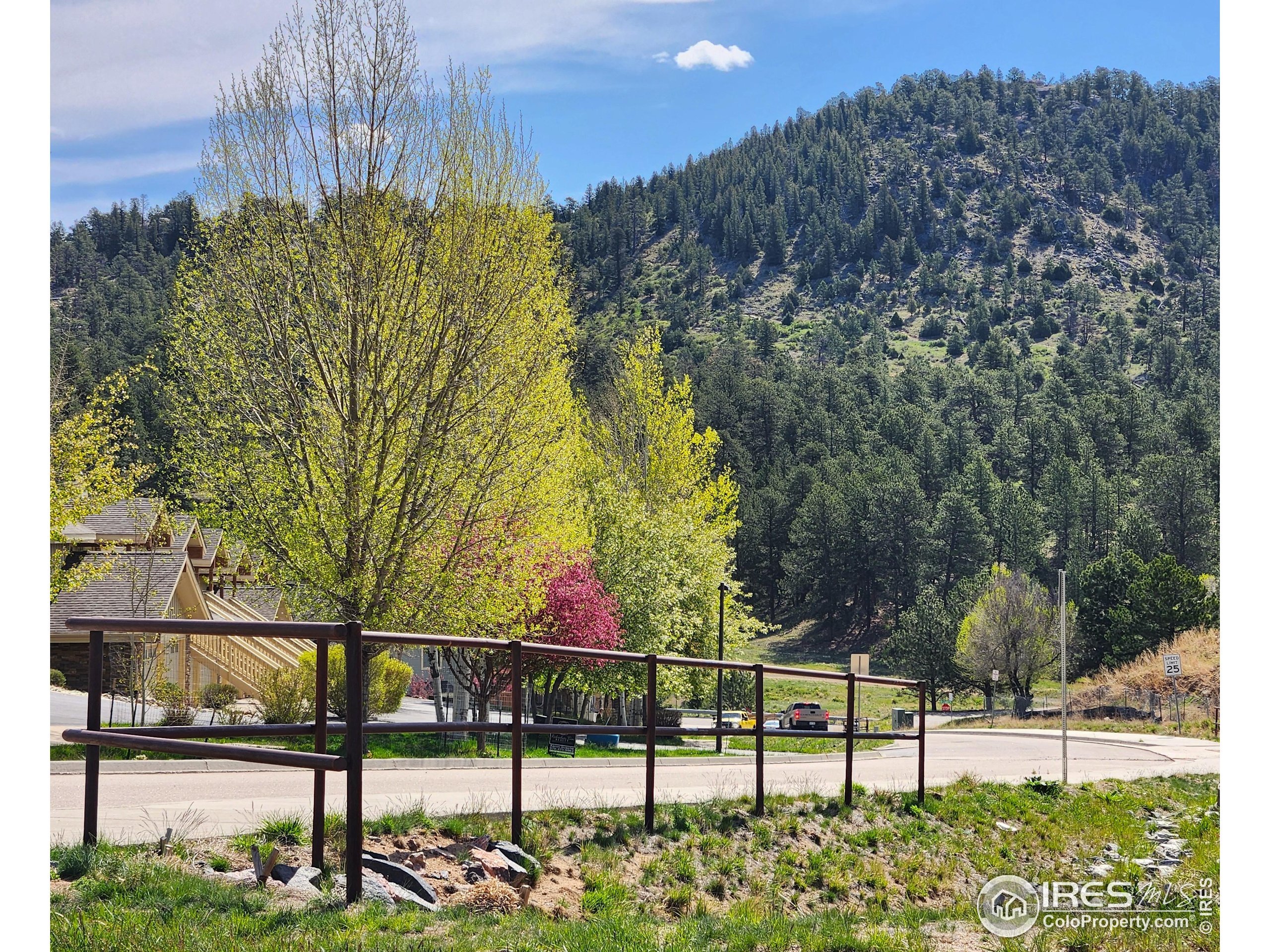 1768 Wildfire Road, Unit 101 Estes Park, CO 80517 - Photo 3 of 25