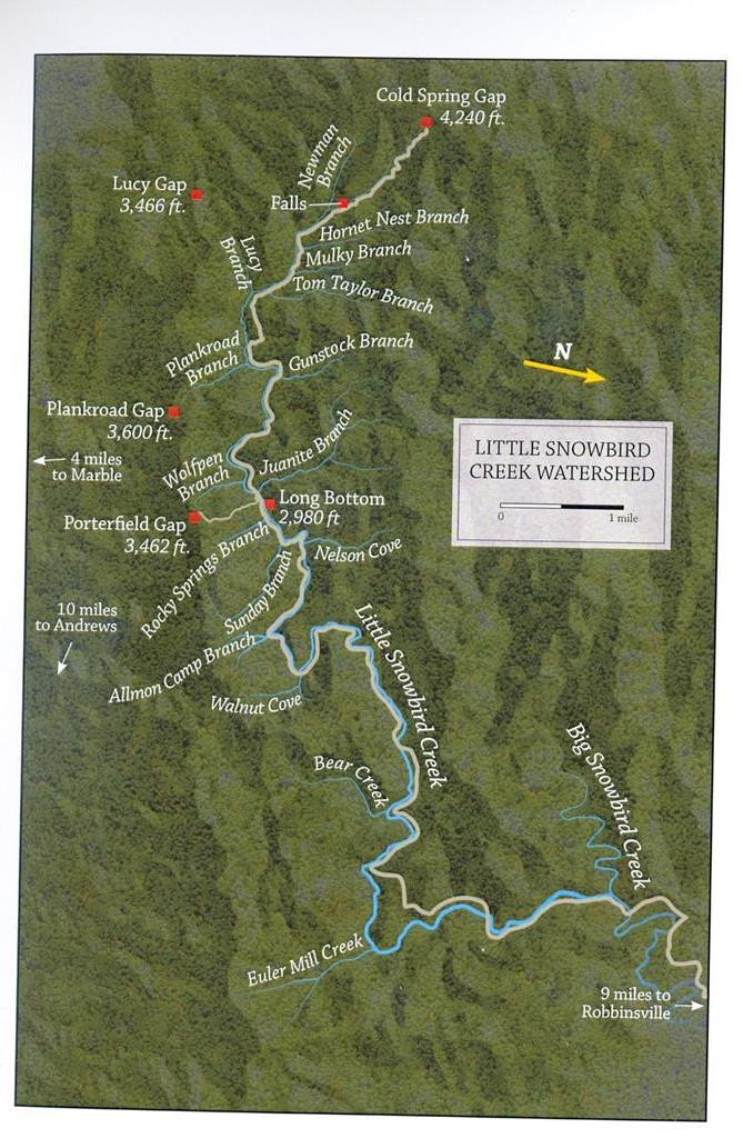 795 Porter Field Gap Road Robbinsville, NC 28771 - Photo 104 of 105