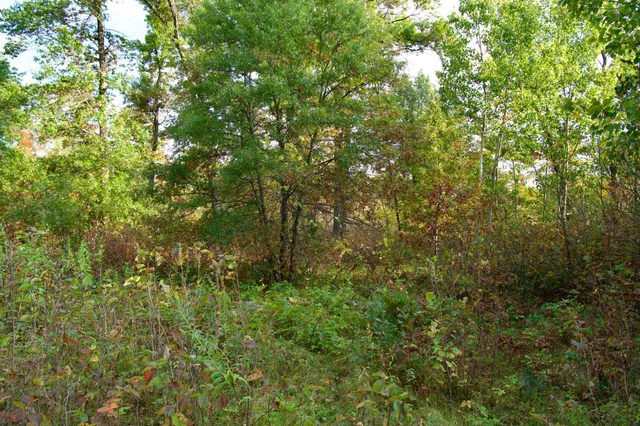 $1,225,000 | 371 Brainerd Mn 56401, Brainerd, MN 56401