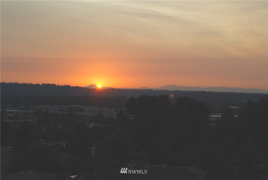 3667 Smithers Avenue South Renton, WA 98055 - Photo 4 of 25