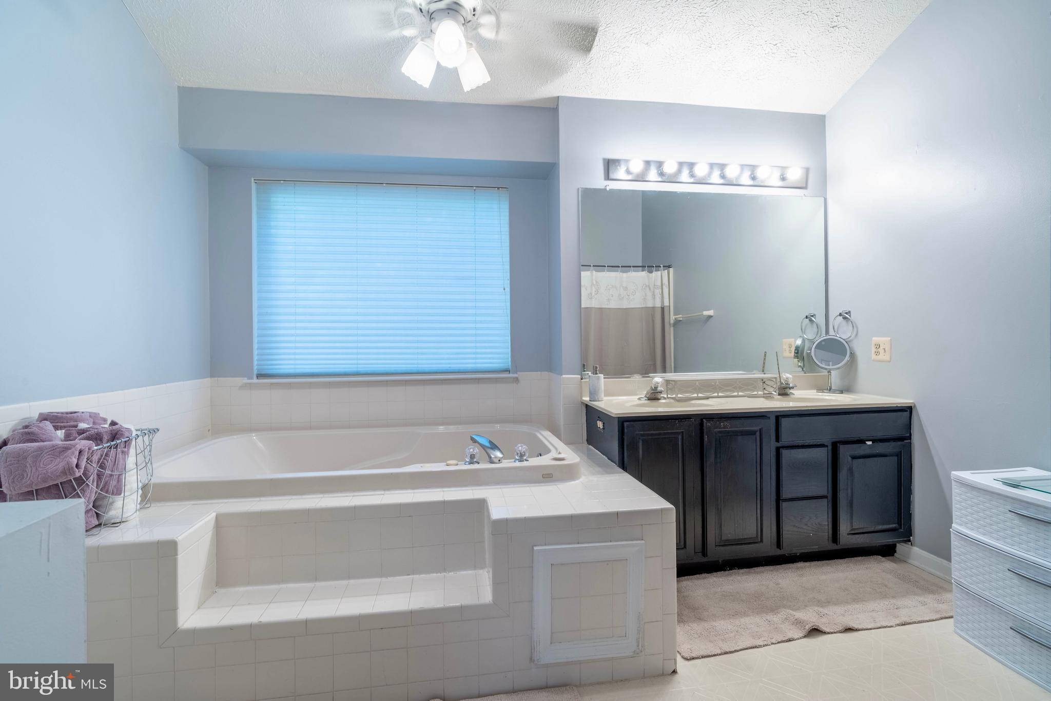 12008 Double Tree Lane Lusby, MD 20657 - Photo 20 of 28 Primary En Suite