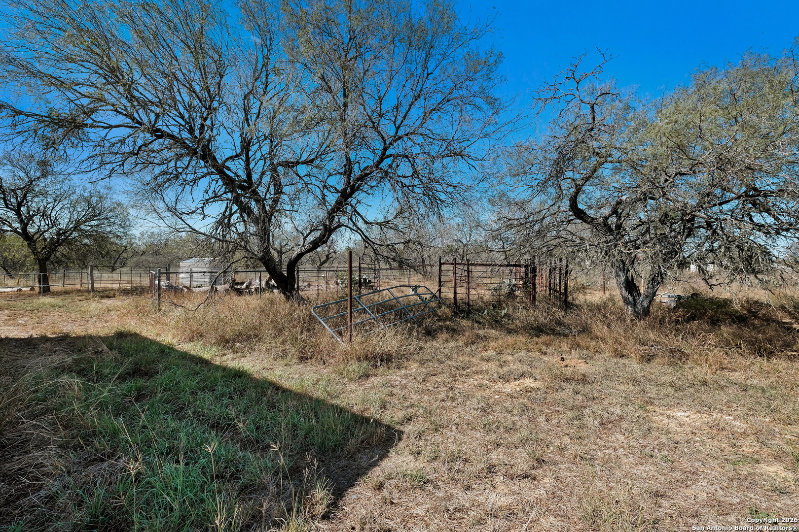 1951 Dowdy Road Seguin, TX 78155 - Photo 54 of 63