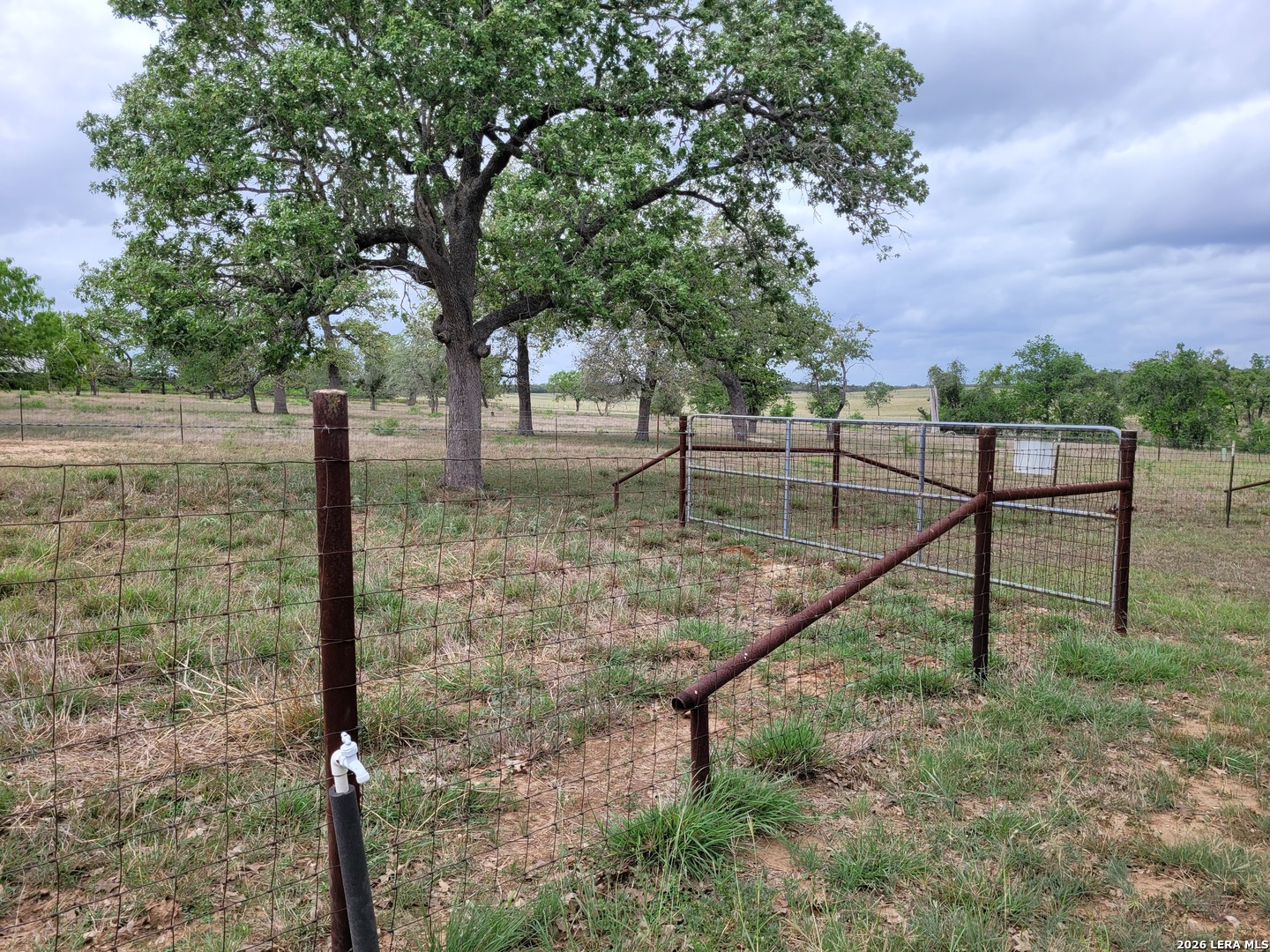 1951 Dowdy Road Seguin, TX 78155 - Photo 56 of 66