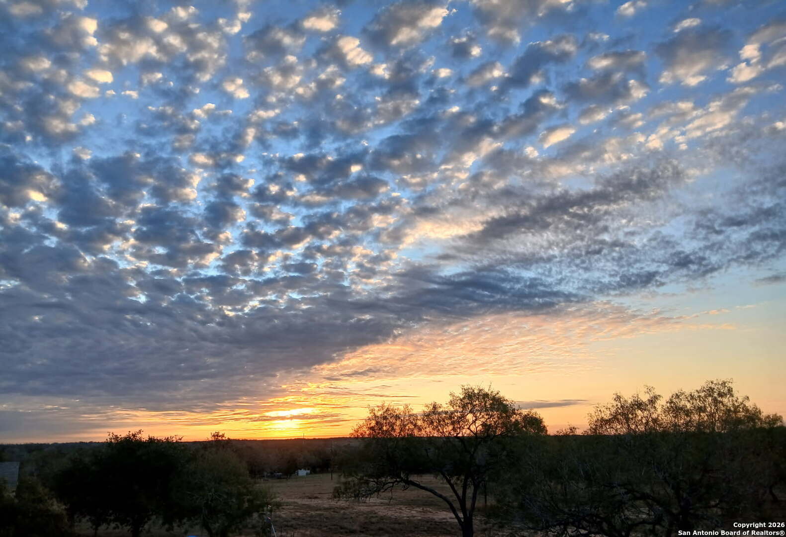 1951 Dowdy Road Seguin, TX 78155 - Photo 62 of 63