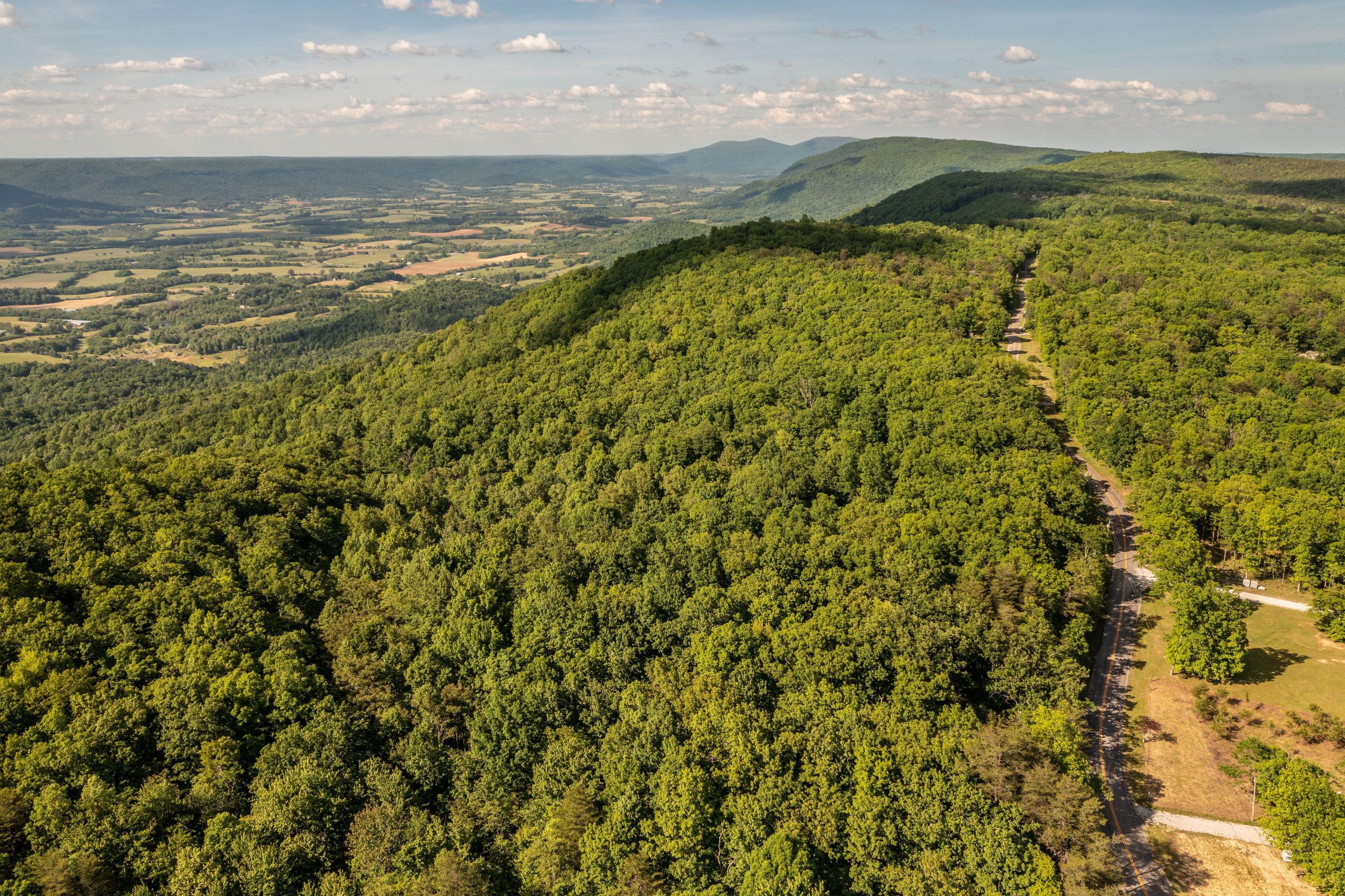 Porch Rock Road Pikeville, TN 37367 - Photo 2 of 10 ZMslhtew