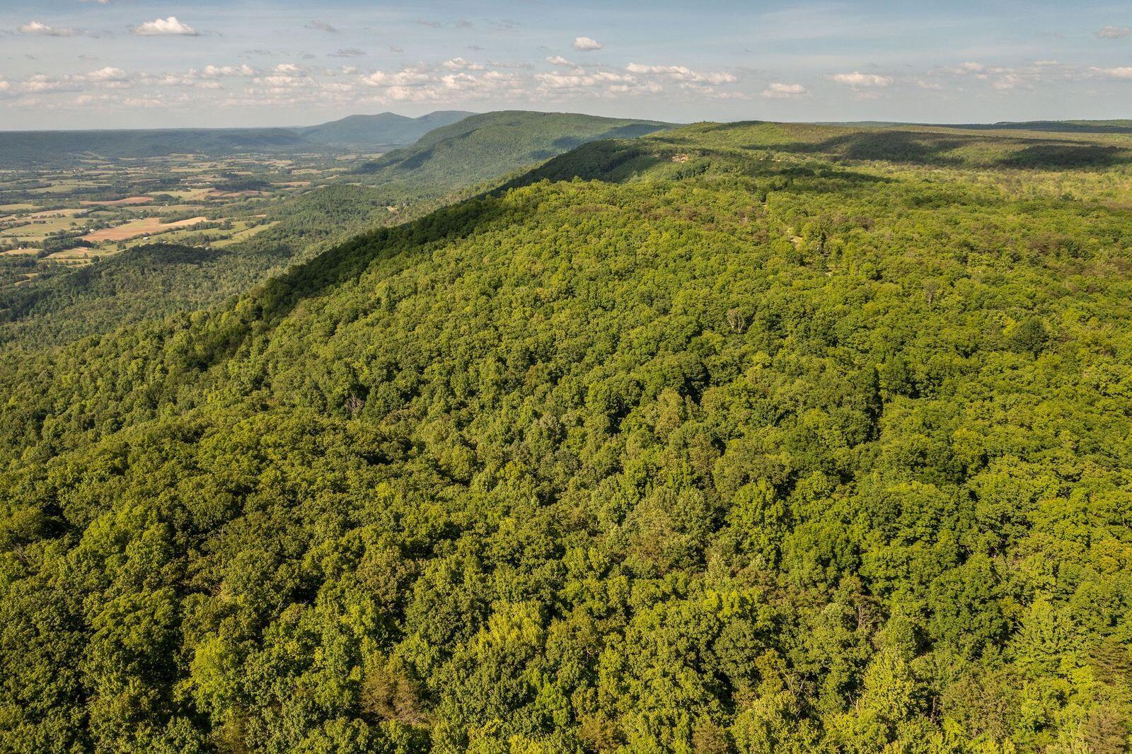 Porch Rock Road Pikeville, TN 37367 - Photo 3 of 10 WTZNH8kM