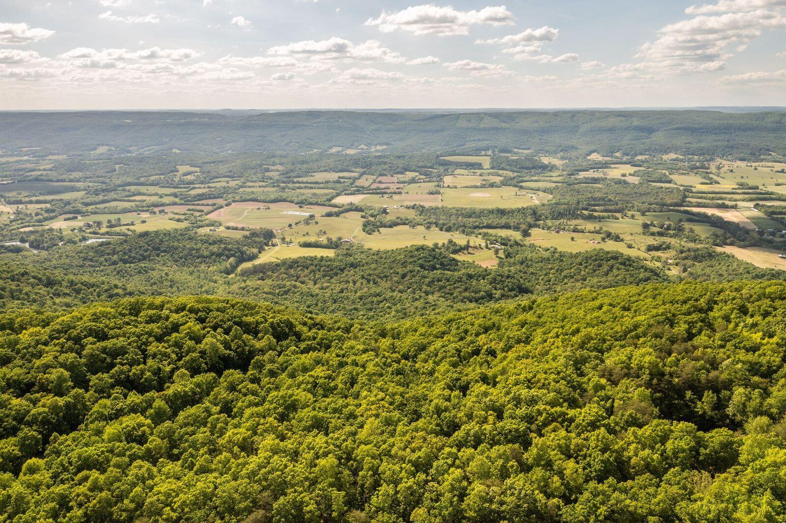 Porch Rock Road Pikeville, TN 37367 - Photo 6 of 10 gQ9Xh2U0