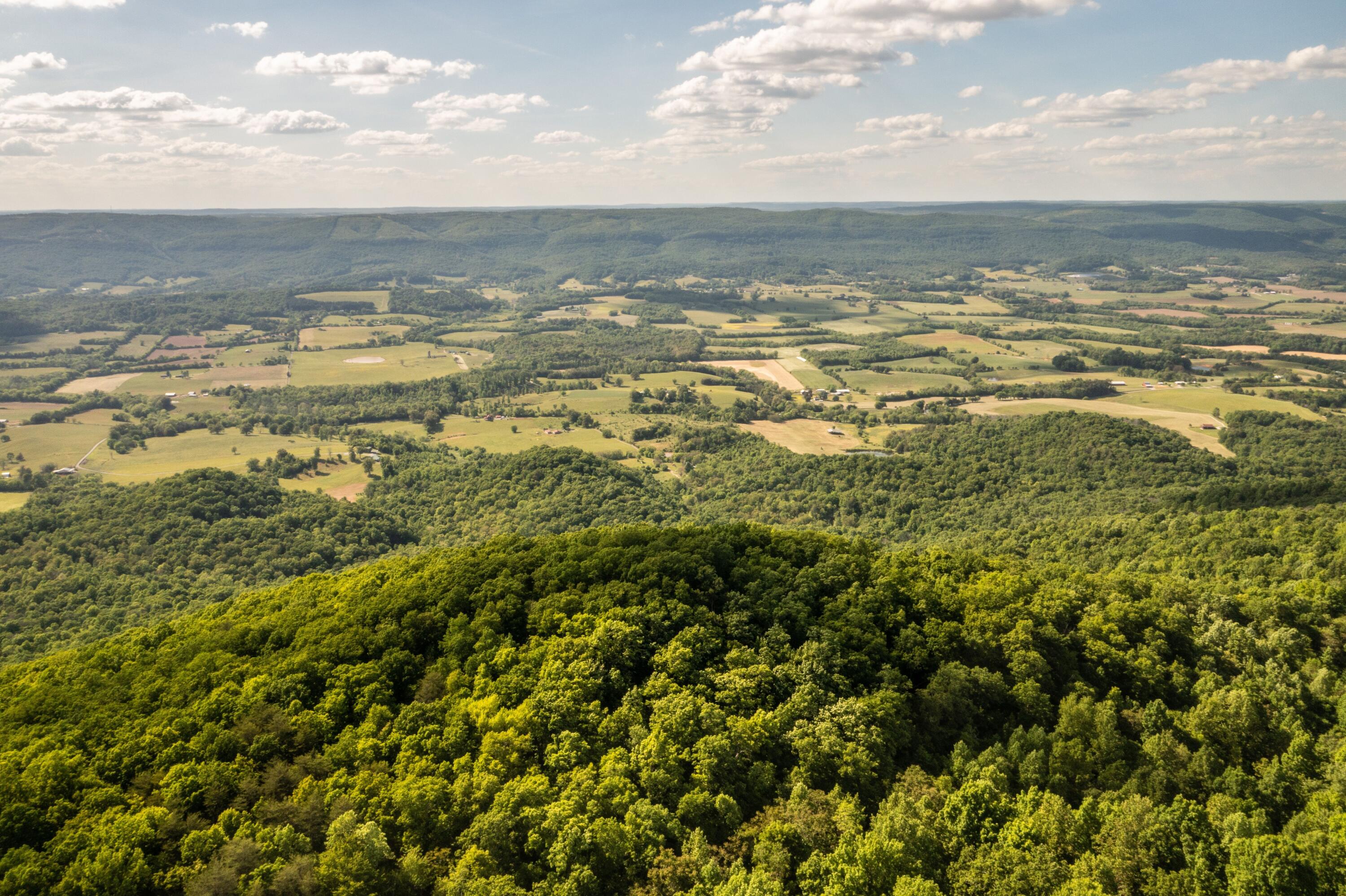 Porch Rock Road Pikeville, TN 37367 - Photo 7 of 10 wXLXsb7U