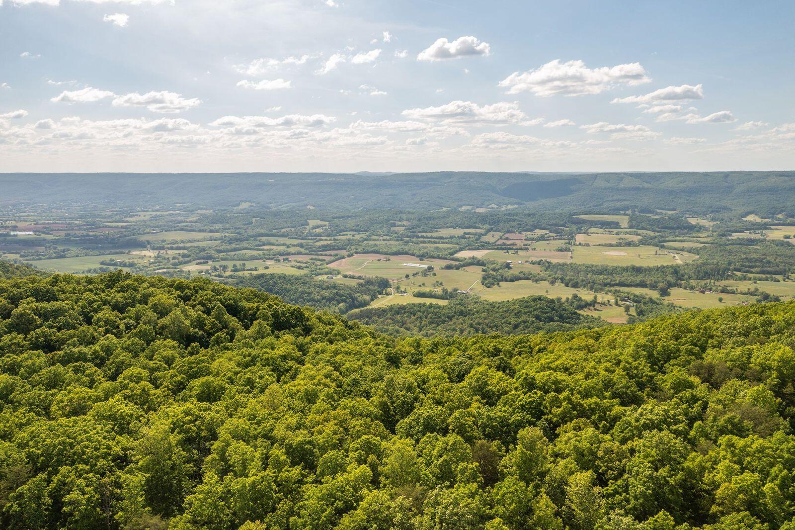 Porch Rock Road Pikeville, TN 37367 - Photo 8 of 10 XscD_ACk