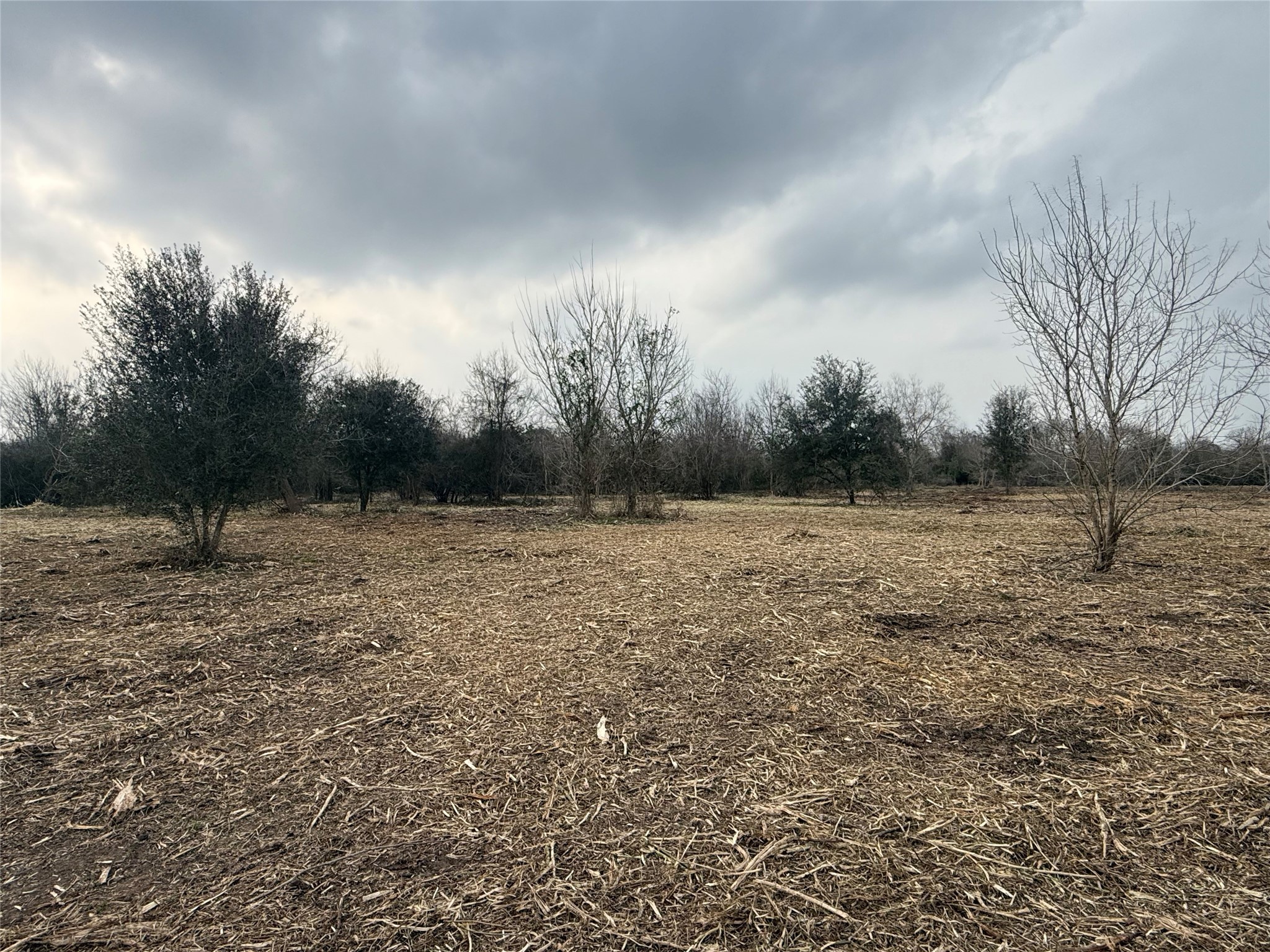 Lot 10 County Road 30 Angleton, TX 77515 - Photo 3 of 9