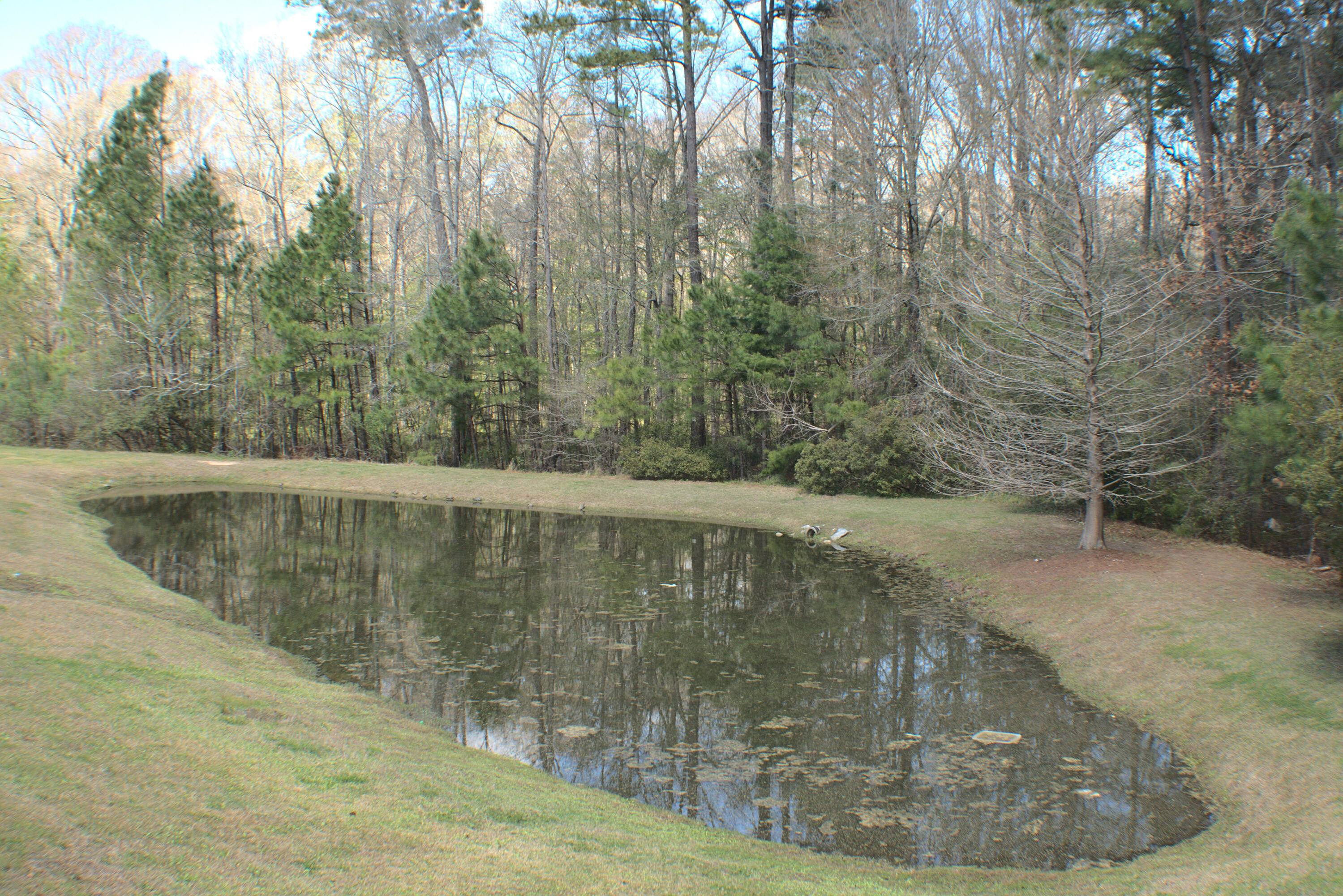 357 Flyway Road Goose Creek, SC 29445 - Photo 35 of 41 42-BEG_8020
