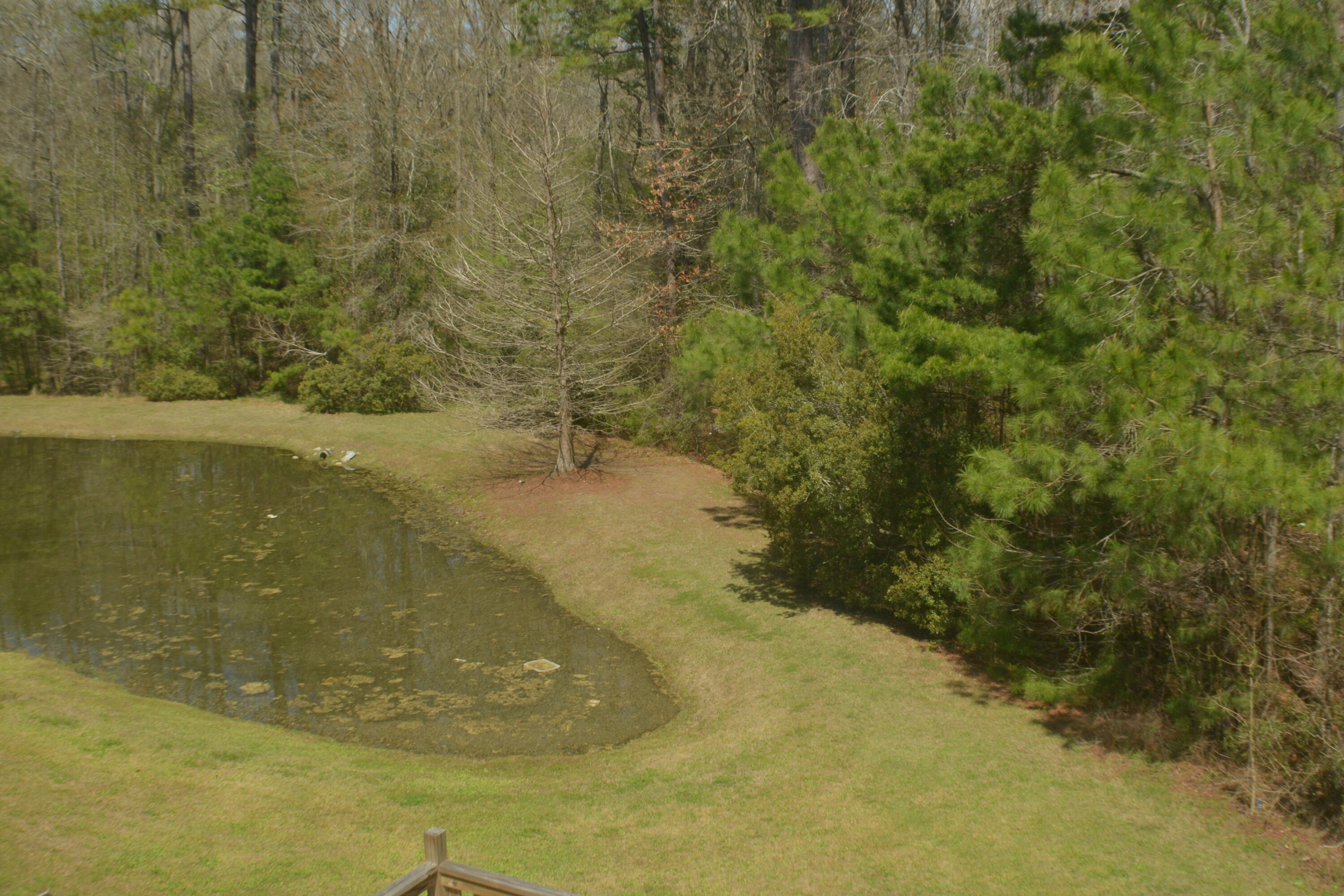 357 Flyway Road Goose Creek, SC 29445 - Photo 37 of 41 39 BEG_8015