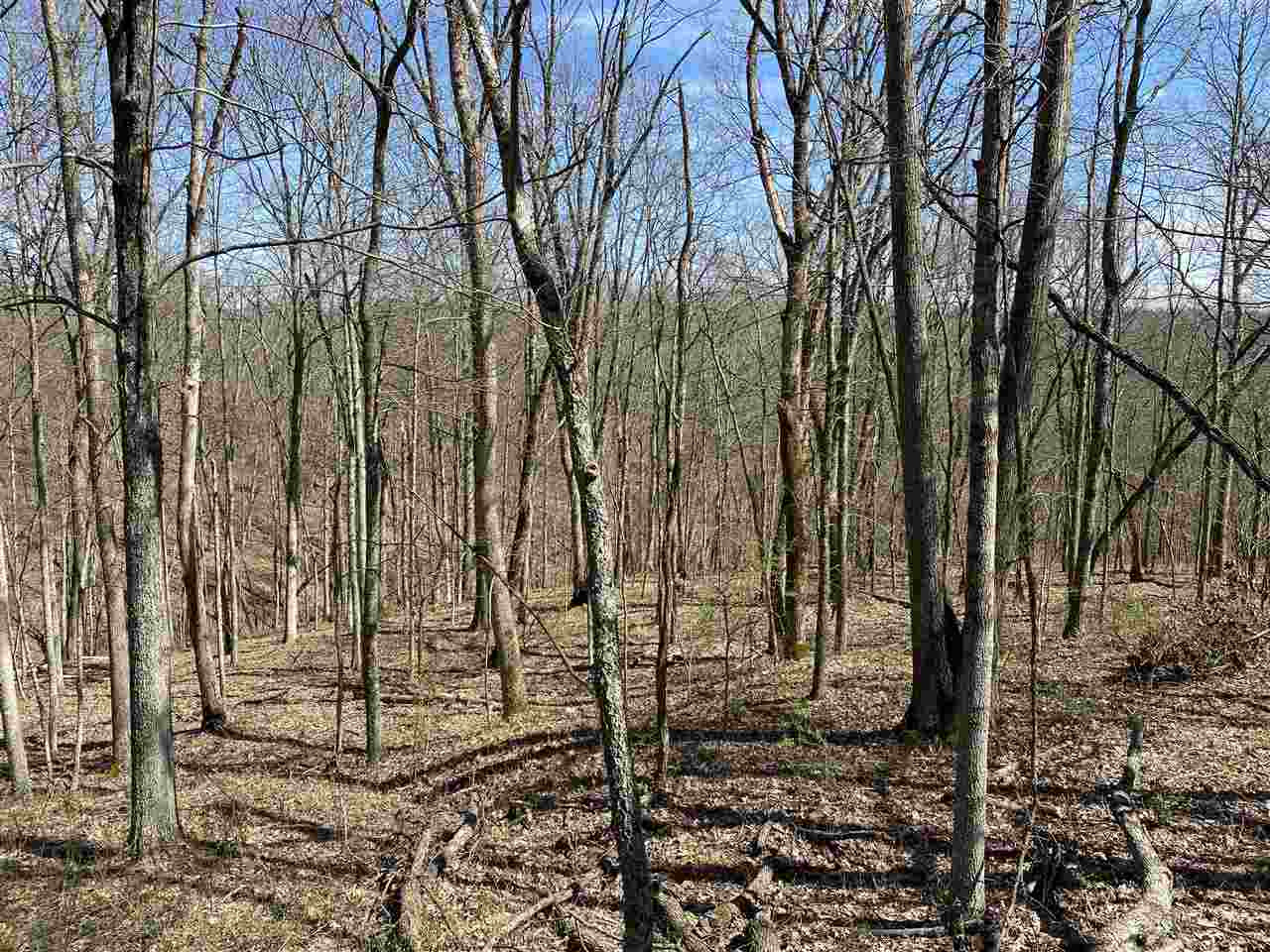 0 Mattox Road Brooksville, KY 41004 - Photo 9 of 22 Gallery Image 9