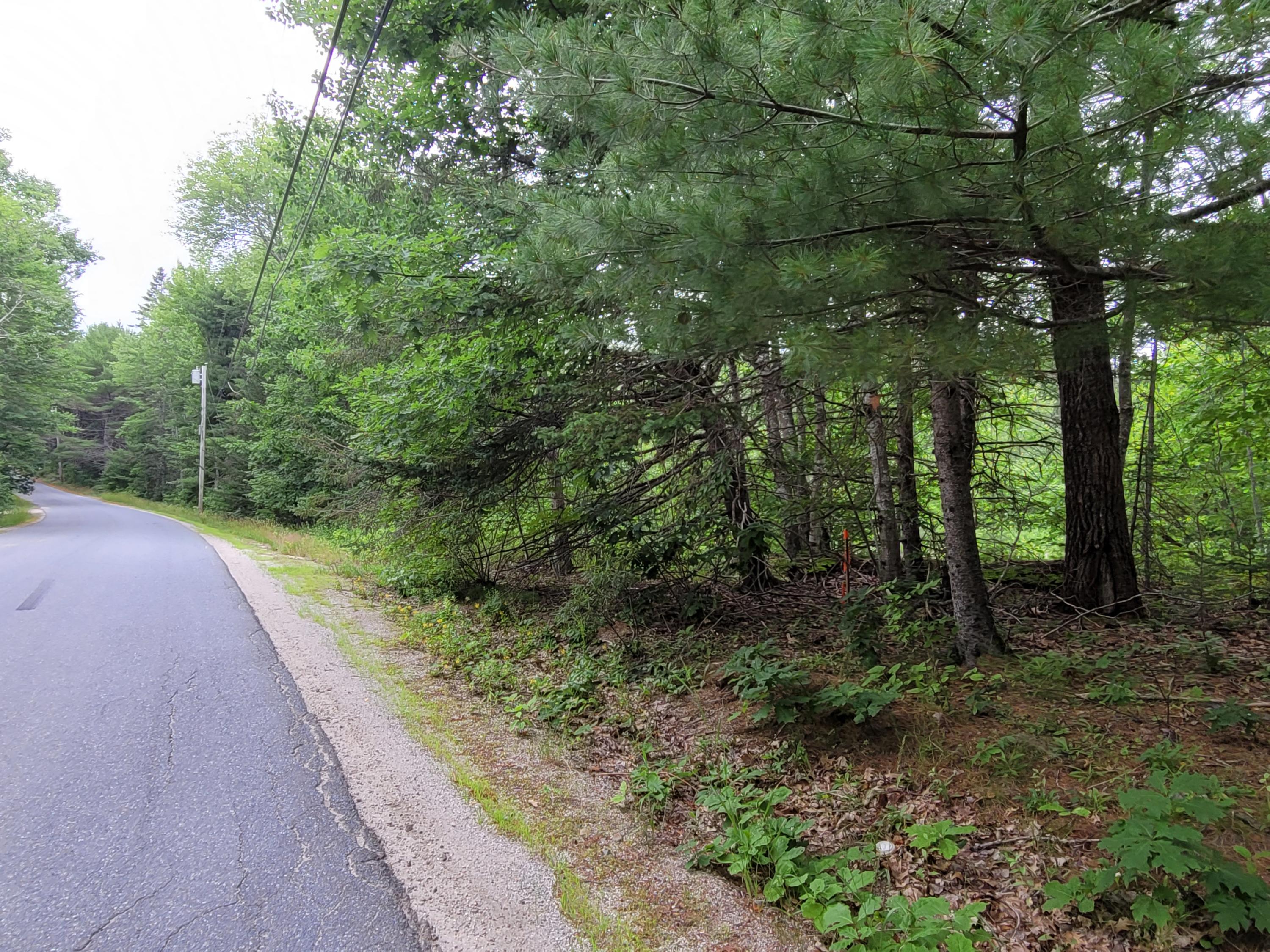 12 Matty Way Franklin, ME 04634 - Photo 15 of 18 20210708_104956