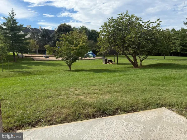 a view of a park with large trees