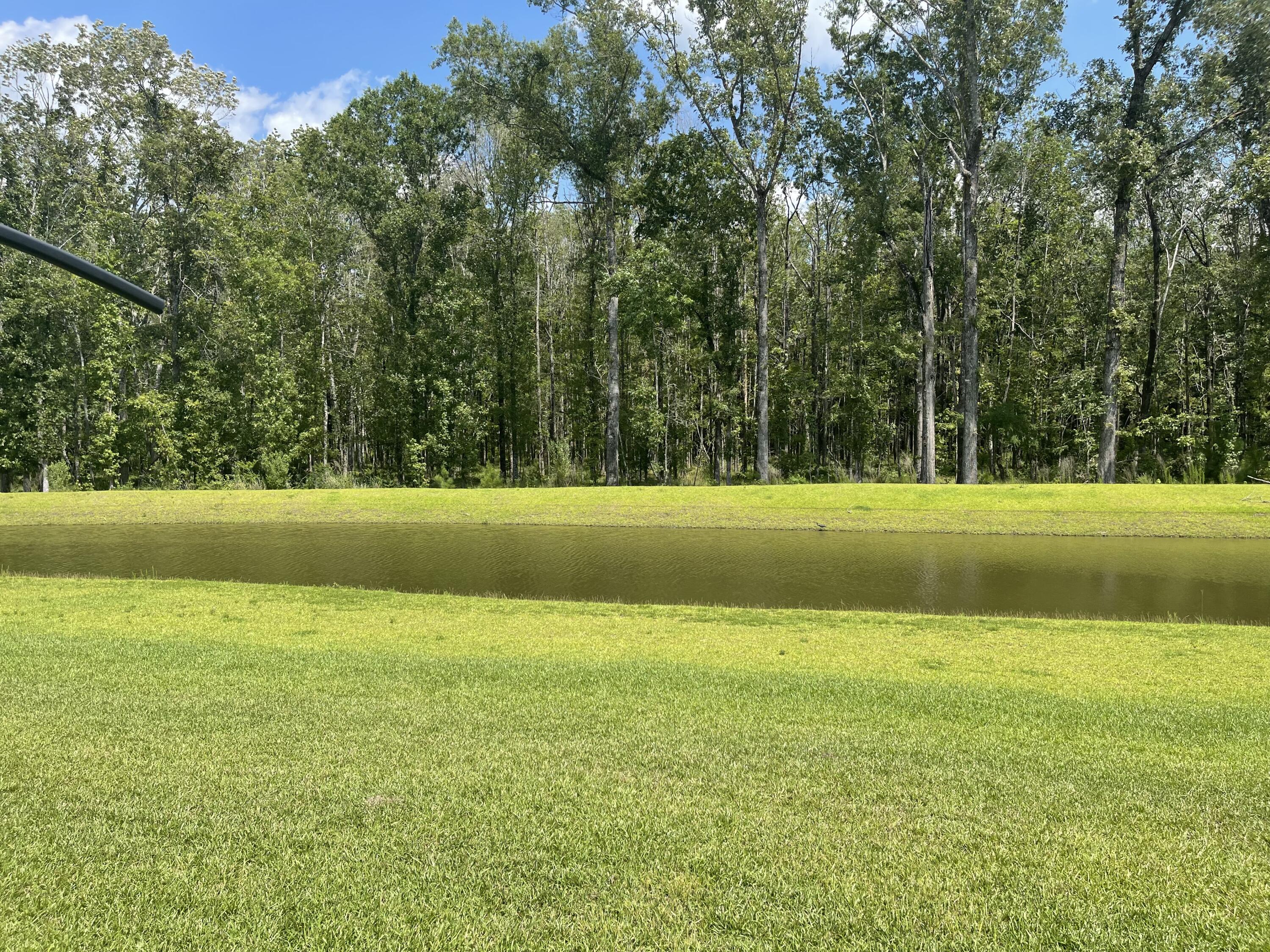 139 Nolin Road Moncks Corner, SC 29461 - Photo 20 of 20 F9E709B8-E7E7-4639-953B-A36753C271B6