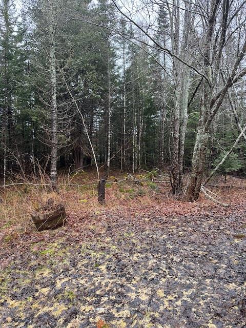 932 Tibbetstown Road Cherryfield, ME 04622 - Photo 15 of 22 IMG_0290