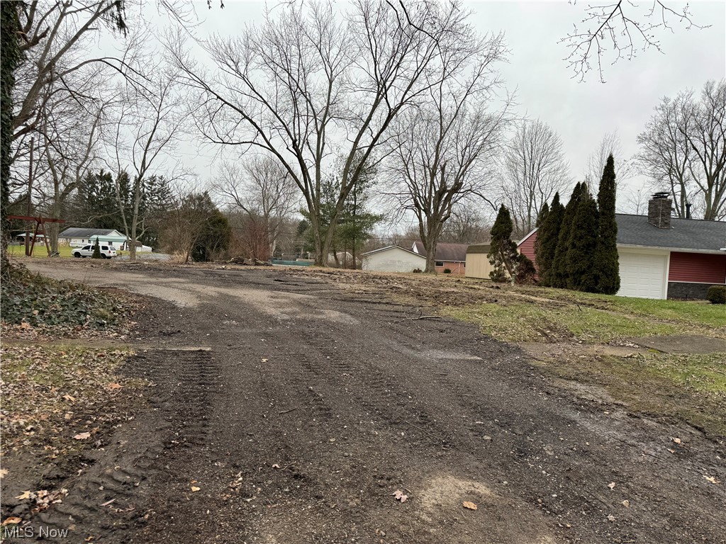 1585 Merle Road Salem, OH 44460 - Photo 2 of 3 View of street